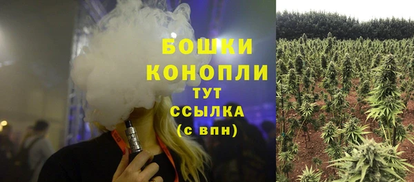 ПСИЛОЦИБИНОВЫЕ ГРИБЫ Киреевск