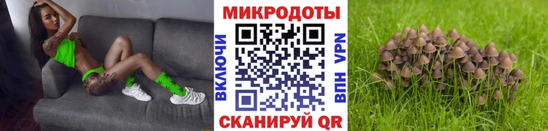 Купить  Заполярный  Псилоцибиновые грибы Psilocybe 